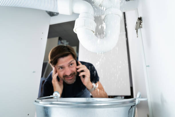 Best Faucet Repair  in Lakewood Clu, MI