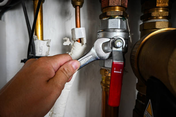 Best Water Heater Repair  in Lakewood Clu, MI